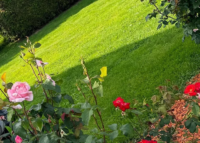 Pohorje Sun - Entire House *